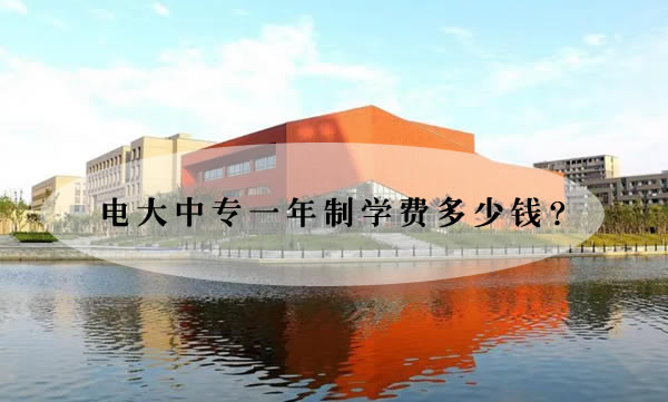 电大中专一年制学费多少钱？