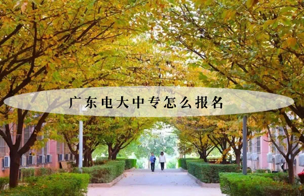 广东电大中专怎么报名