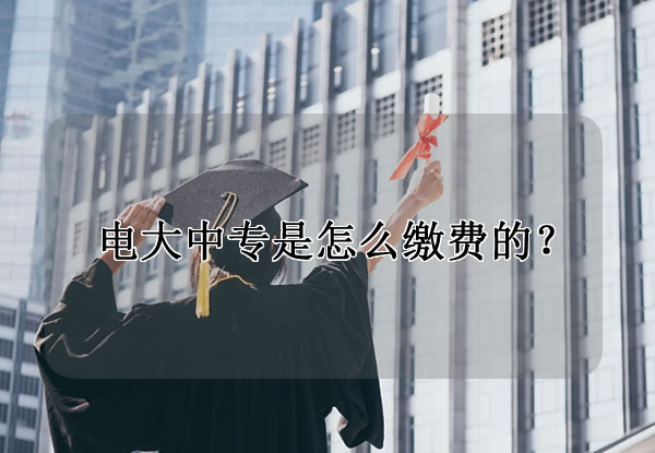 电大中专是怎么缴费的