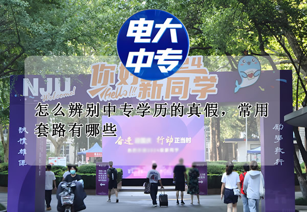 怎么辨别中专学历的真假，常用套路有哪些